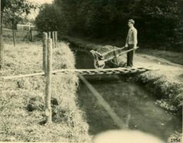 1954 1