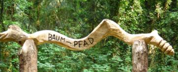 Baumpfad1